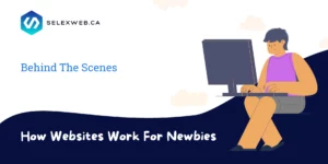 how websites work for newbies