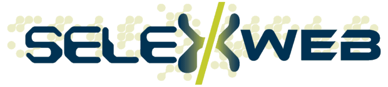 selexweb.ca Logo Edmonton Web Design Company