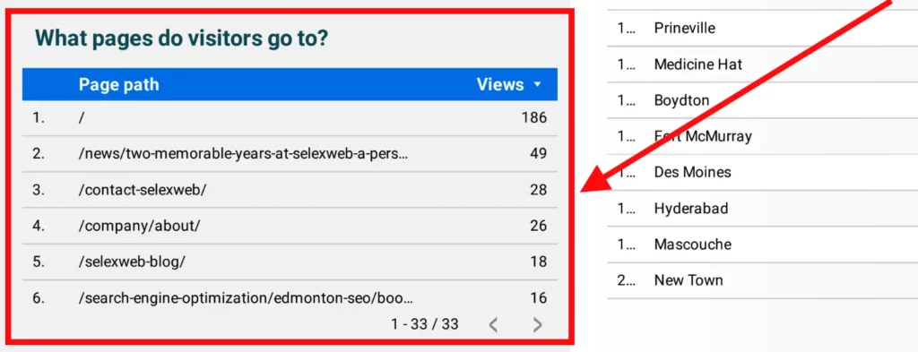SelexWeb Monthly Last 30 Days Website Analytics - Page URL and Views Table